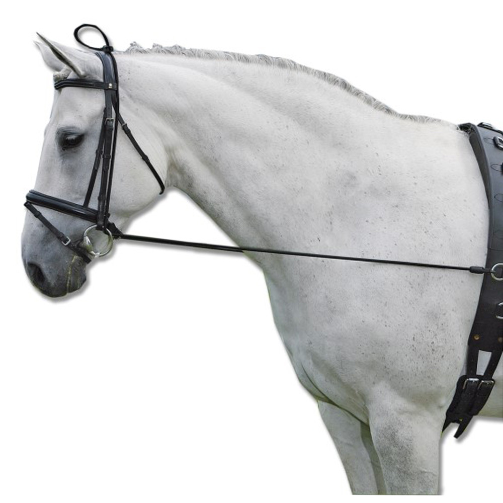 Lonžování a práce ze země